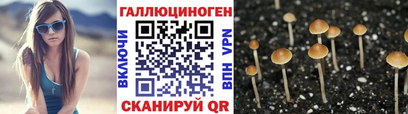 Псилоцибиновые грибы Magic Shrooms  Купить где  Новоульяновск 
